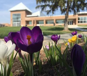 Image post by @shippensburgu on Instagram
