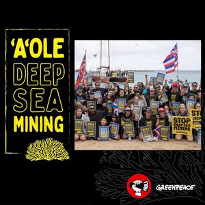 Image post by @greenpeaceusa on Instagram