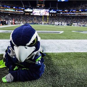 Image post by @blitztheseahawk on Instagram