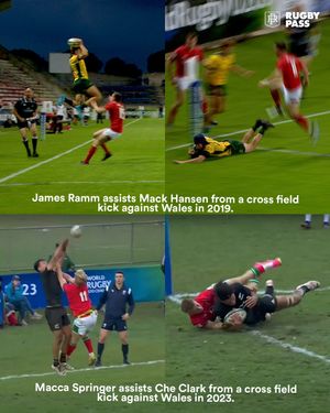 Image post by @rugbypass on Instagram