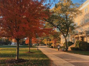 Image post by @olivetnazarene on Instagram