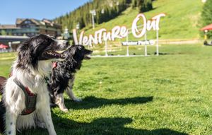 Image post by @winterparkresort on Instagram