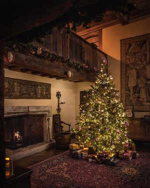 Image post by @_stay_inside on Instagram