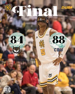 Image post by @ksuowlsmbb on Instagram