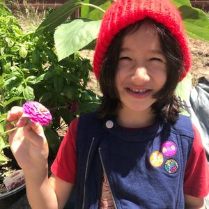 Image post by @kidsgardening on Instagram