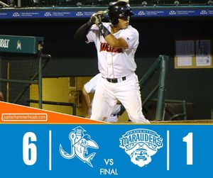 Image post by @gohammerheads on Instagram