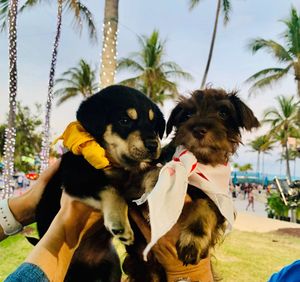 Image post by @animalplanet on Instagram