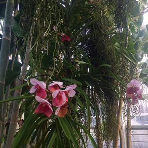 Image post by @juliajuliaroserose on Instagram