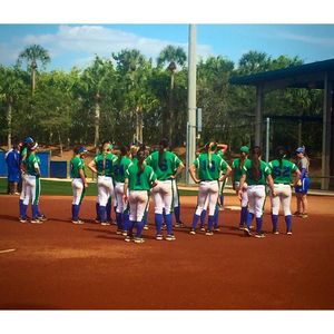 Image post by @fgcusoftball on Instagram