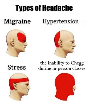 Image post by @barstooluni on Instagram