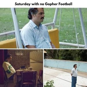 Image post by @barstoolgophers on Instagram