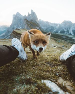 Image post by @unsplash on Instagram