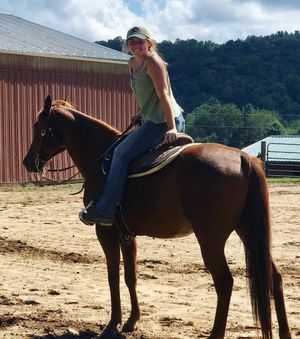 Image post by @appalachianequestrian on Instagram