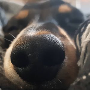 Image post by @hollysmee on Instagram