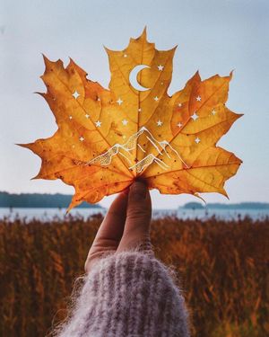 Image post by @tysadesigns on Instagram