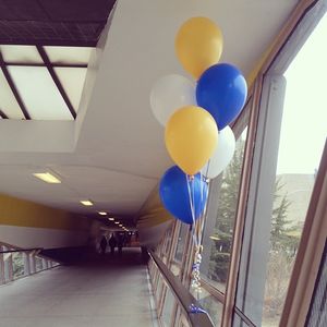 Image post by @hofstrau on Instagram