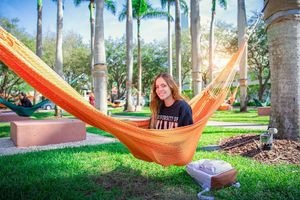 Image post by @univmiami on Instagram