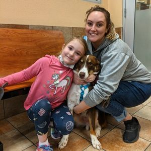 Image post by @spokhumanesoc on Instagram