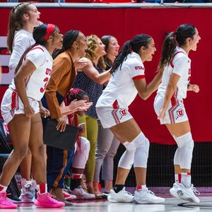 Image post by @utahwbb on Instagram