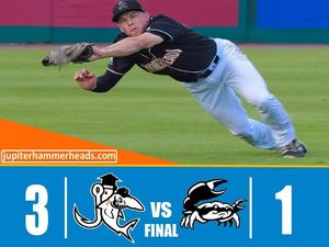 Image post by @gohammerheads on Instagram
