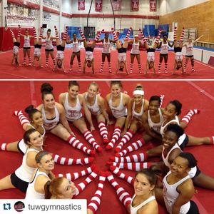 Image post by @templeowls on Instagram