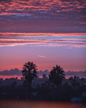 Image post by @rpnickson on Instagram