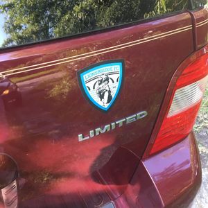 Image post by @lionsbridgefc on Instagram