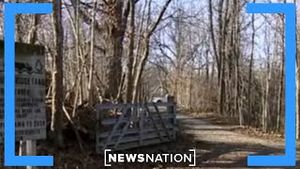 Video post by @newsnation on YouTube