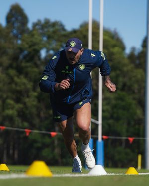Image post by @theparraeels on Instagram