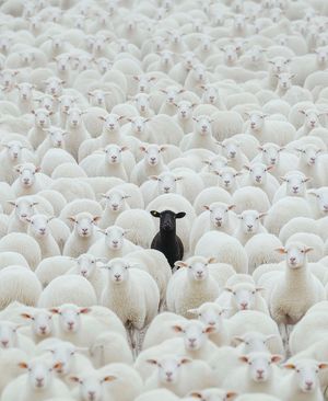 Image post by @fubiz on Instagram