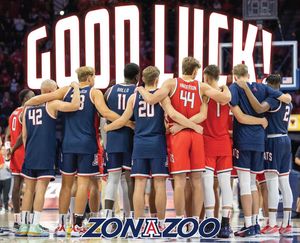 Image post by @zonazooofficial on Instagram