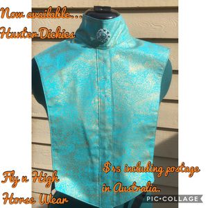 Image post by @flynhighhorsewear on Instagram