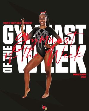 Image post by @redbirdgymnastics on Instagram