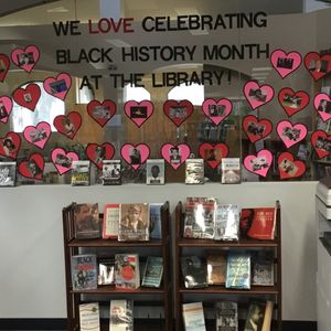 Image post by @stjohnscountylibrary on Instagram