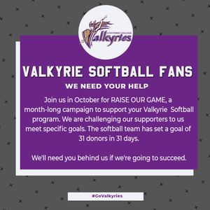 Image post by @valkyriessoftball on Instagram