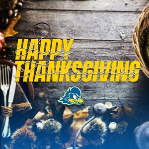 Image post by @udbluehens on Instagram