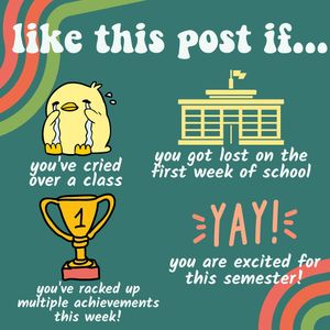 Image post by @usfsomhonors on Instagram