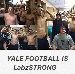 Image post by @yalesoftball on Instagram