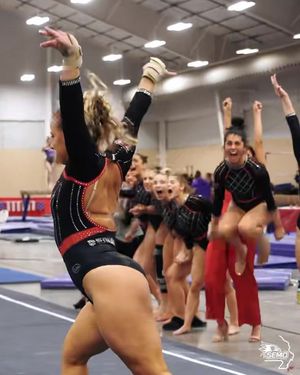 Video post by @semoredhawks on TikTok