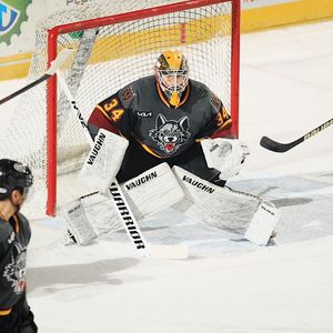 Image post by @chicagowolves on Instagram