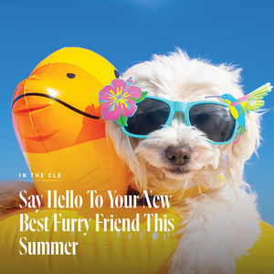 Image post by @clevelandmagazine on Instagram