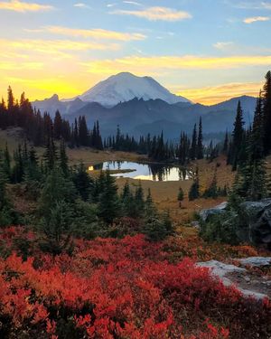 Image post by @nationalparkscollective on Instagram
