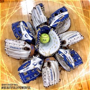 Image post by @hofstrasoftball on Instagram