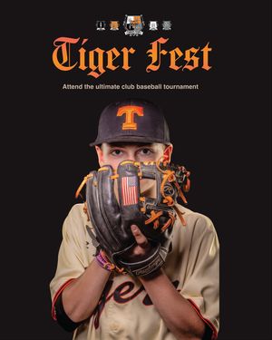 Image post by @rawlingstigers on Instagram