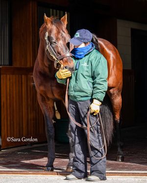 Image post by @thoroughbred_daily_news on Instagram