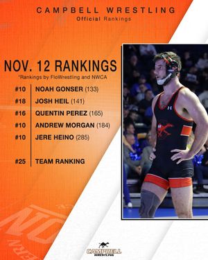 Image post by @gocamelswrestle on Instagram