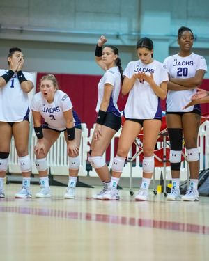 Image post by @sfa_volleyball on Instagram