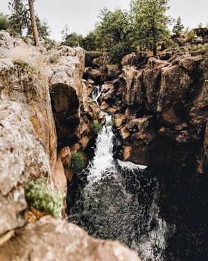 Image post by @nauflagstaff on Instagram