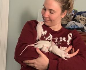 Image post by @JupiterrJazz on Twitter