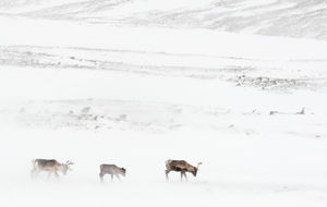 Image post by @natgeo on Instagram